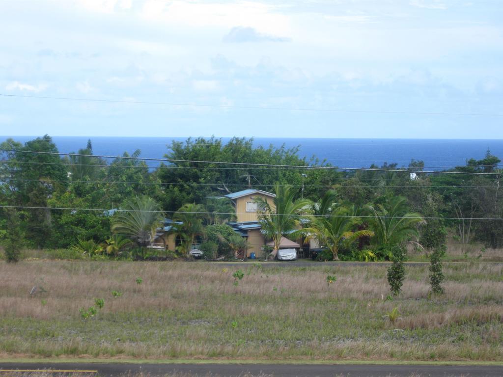 Coconut Palms Vacation Rental Near Lava Fields And Beaches Kehena 客房 照片