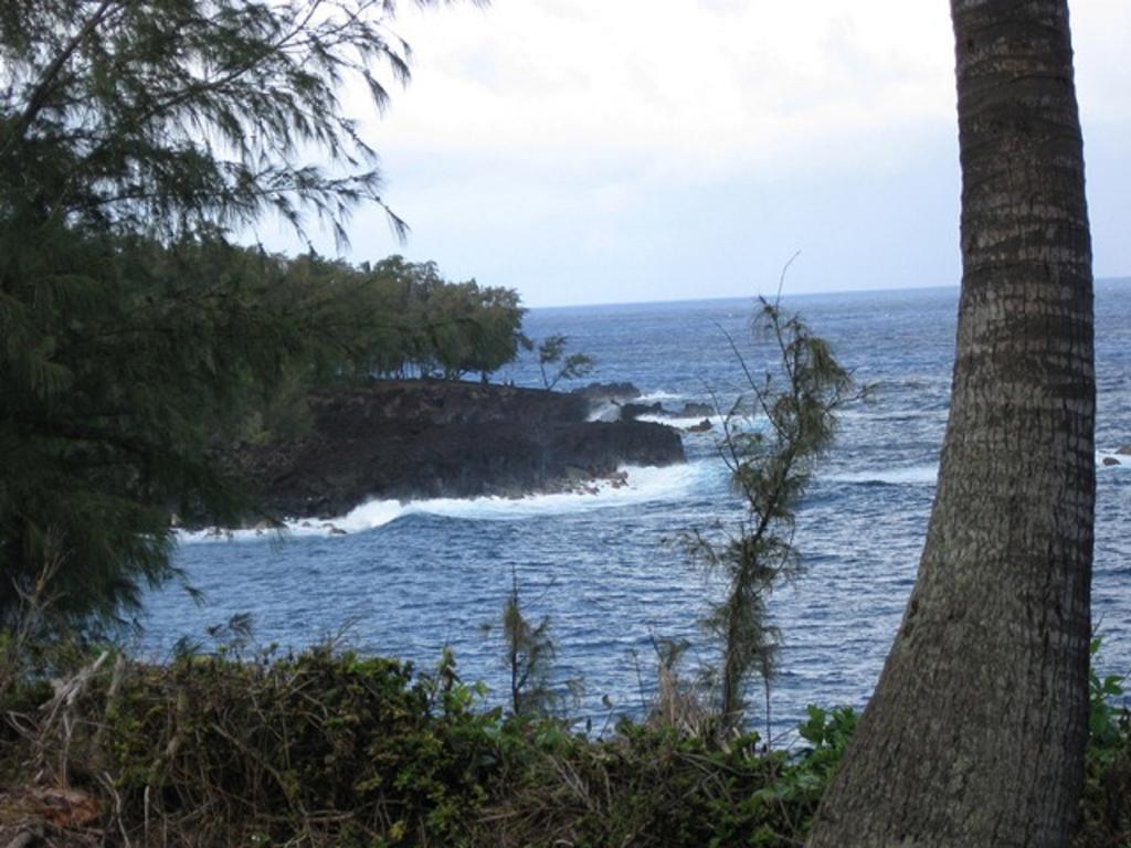 Coconut Palms Vacation Rental Near Lava Fields And Beaches Kehena 外观 照片