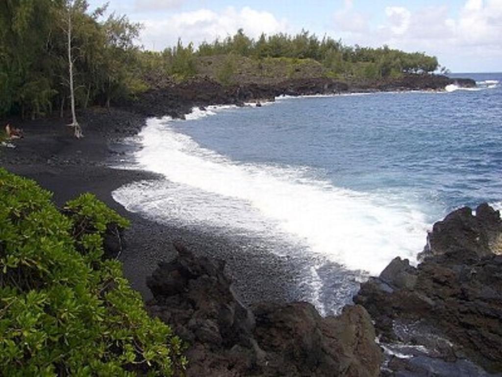 Coconut Palms Vacation Rental Near Lava Fields And Beaches Kehena 外观 照片