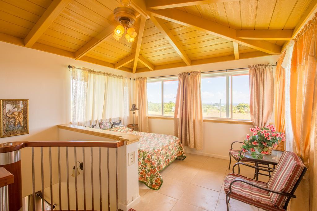 Coconut Palms Vacation Rental Near Lava Fields And Beaches Kehena 外观 照片