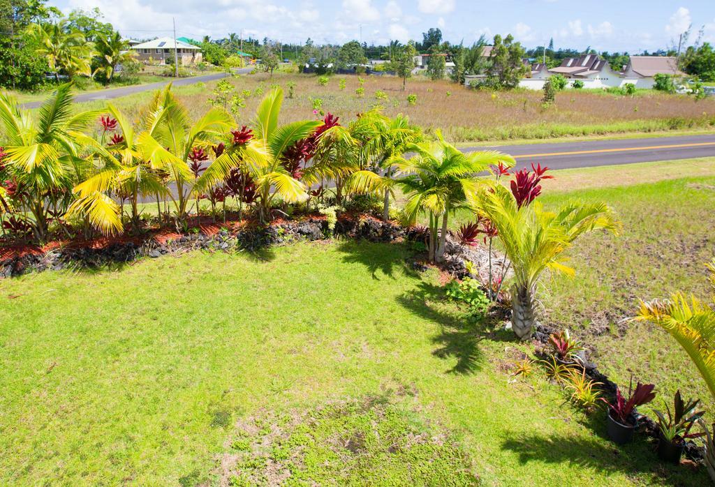 Coconut Palms Vacation Rental Near Lava Fields And Beaches Kehena 外观 照片