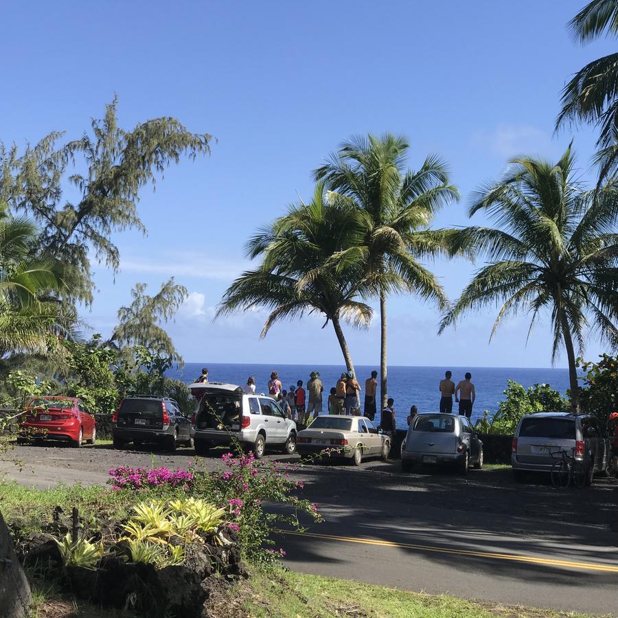Coconut Palms Vacation Rental Near Lava Fields And Beaches Kehena 外观 照片
