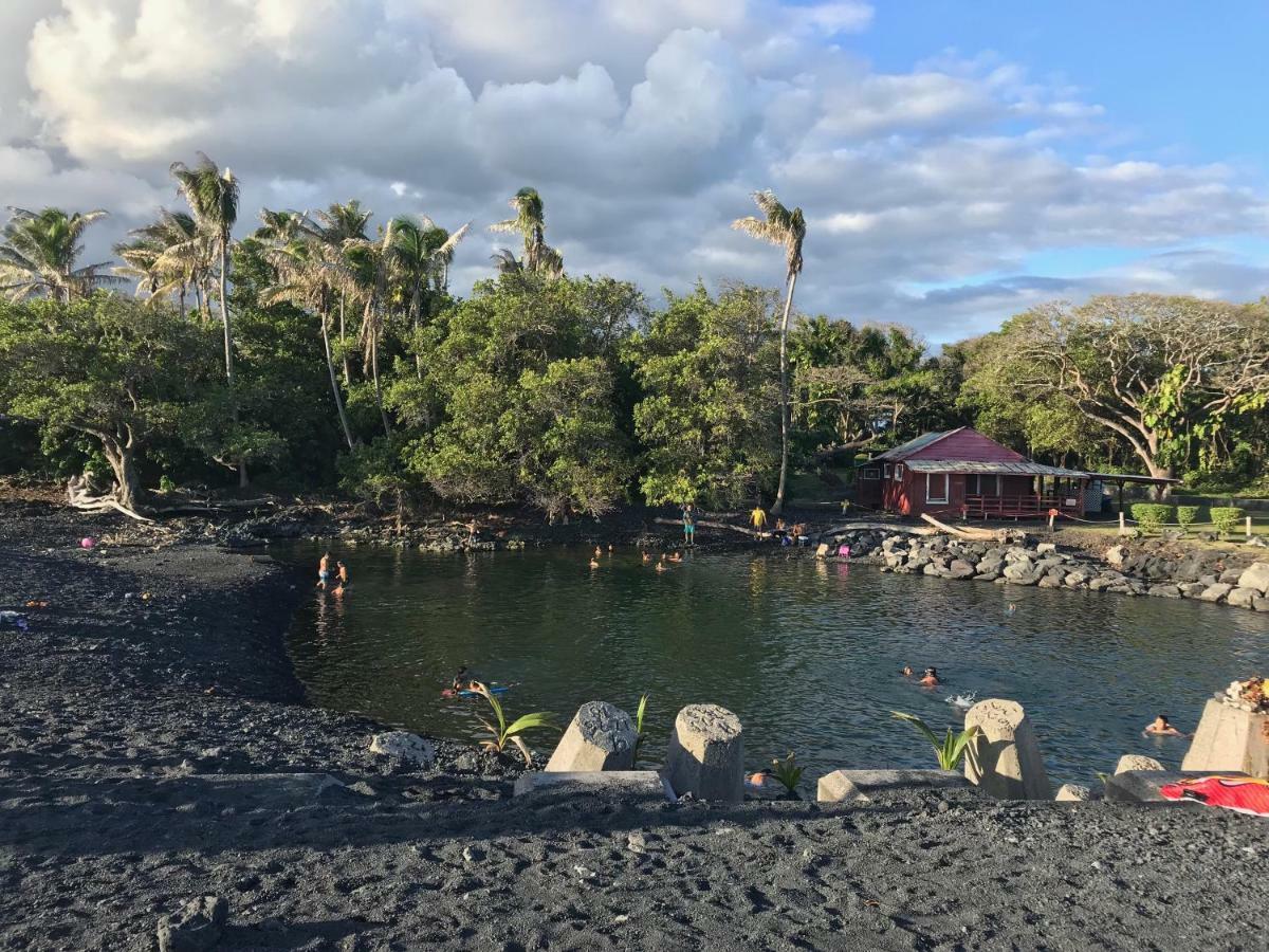 Coconut Palms Vacation Rental Near Lava Fields And Beaches Kehena 外观 照片